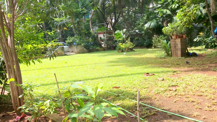Garden - Bhanu Apartment, Juhu